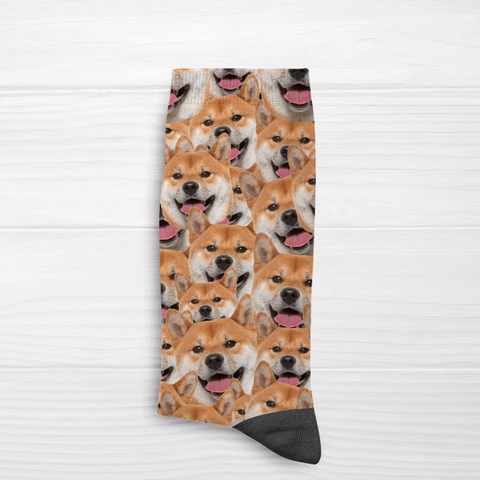 Personalized Socks With Dog Or Cat - Wild Photo - Featured Image