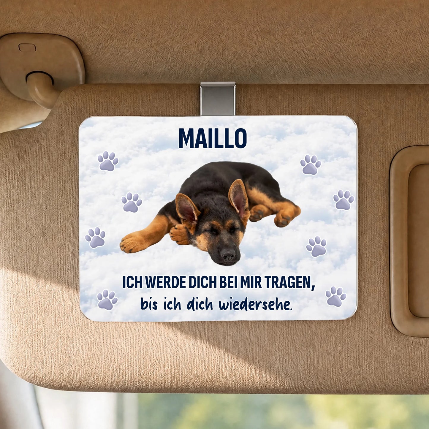 Sun Visor Clip SHOP